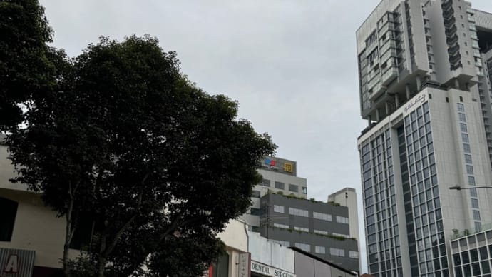 しばらくHollad Villageとはお別れ。