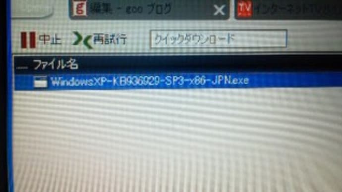 がんばれニッポンがんばれXP11
