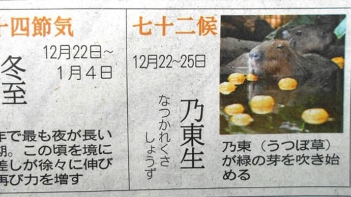 今日は「冬至」