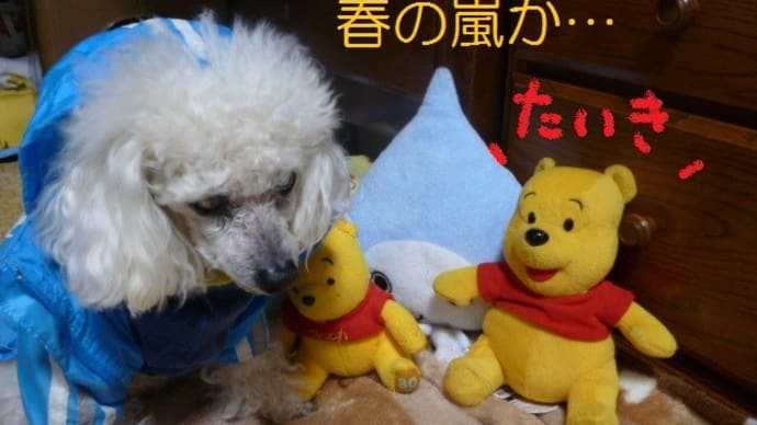 春の嵐に…台風2号が発生かな? ( ̄ヘ ̄;)ウーン