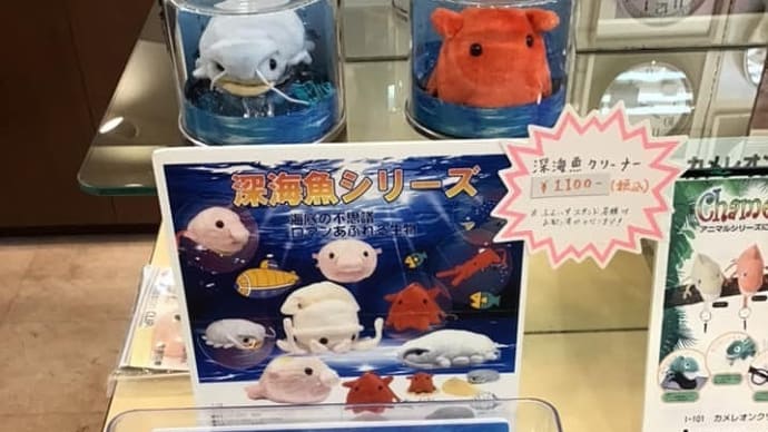 深海魚クリーナー入荷!