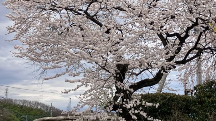 今日いち-2025年3月28日