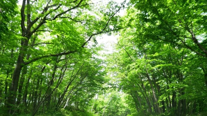 涼しかった蔵王の御釜*暑すぎた山寺