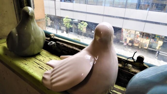 2021・11・21 銀座奥野ビル306号室プロジェクト「押田美保陶展-都会の飛べない鳥たちー」
