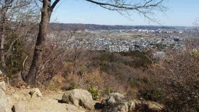 お花見後は 網代弁天山へ