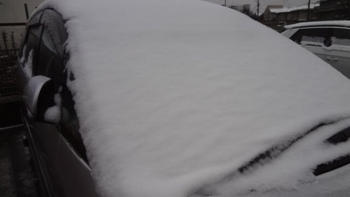 午前~昼すぎまで雪⇒雨。さぶっ。でも合唱団の特別練習へ。