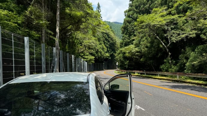 WRX SuzukaSkylineの動画です