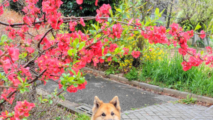 新年度 今後の自分 考える…