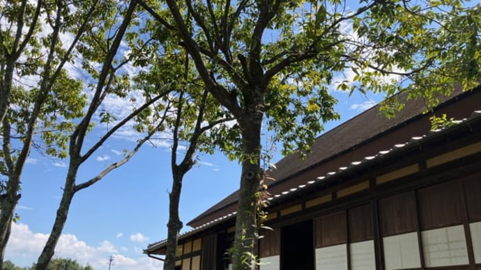 8月の和の学校 2023
