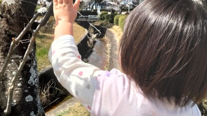 慣らし保育2日目