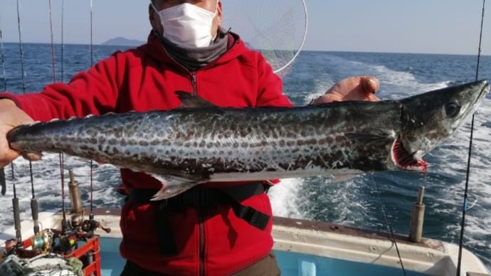 本日の釣果報告