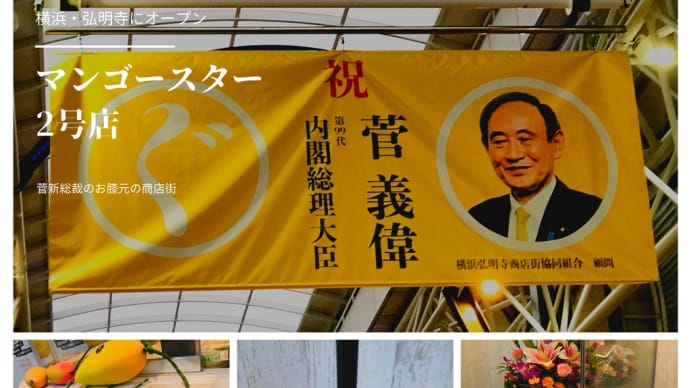 菅新総裁の「お膝元」弘明寺・マンゴースターに行ってきました！