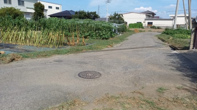 草刈りしました🎵