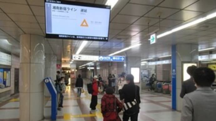 4/23 鎌倉ハイク(写真多数)