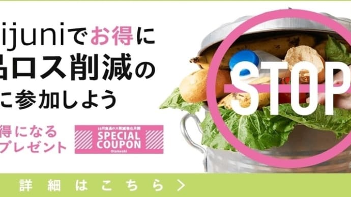 訳あり品をお得にお買い物【junijuni】ロス削減にも貢献できる♪