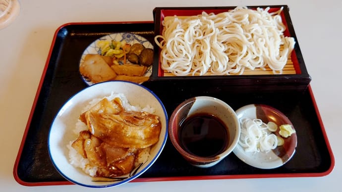 【勝浦車中泊の旅】後編・温泉に入って、お蕎麦食べて、電車を見ます。俺的絶メシロード!