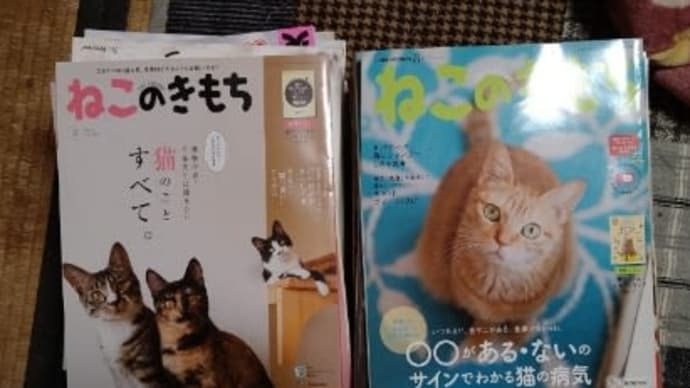 思い切って処分
