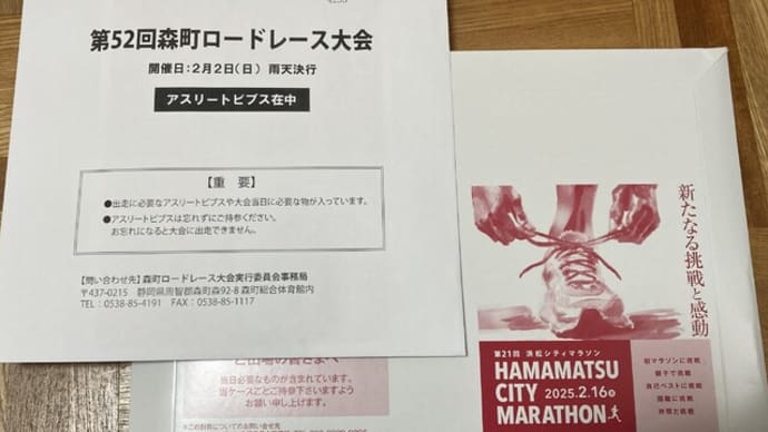 ガンだけど300km