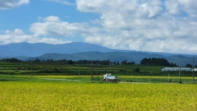 トンボと遊びながら・・・加美町・もち処大滝