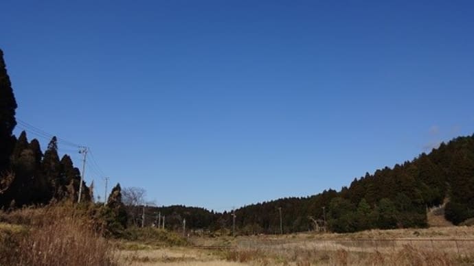 広い空の下で