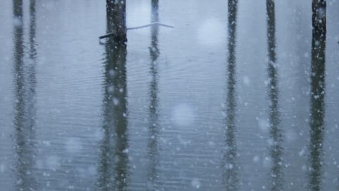 雪舞う池