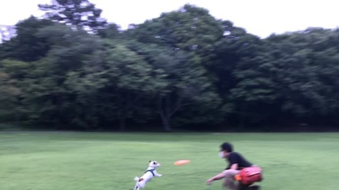 6月最初の週末