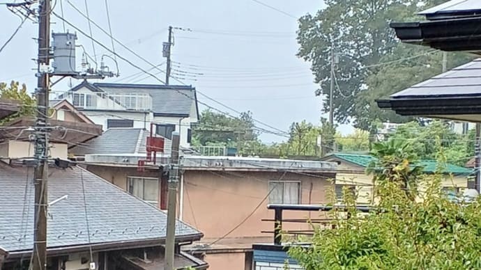 松山ー高知への旅