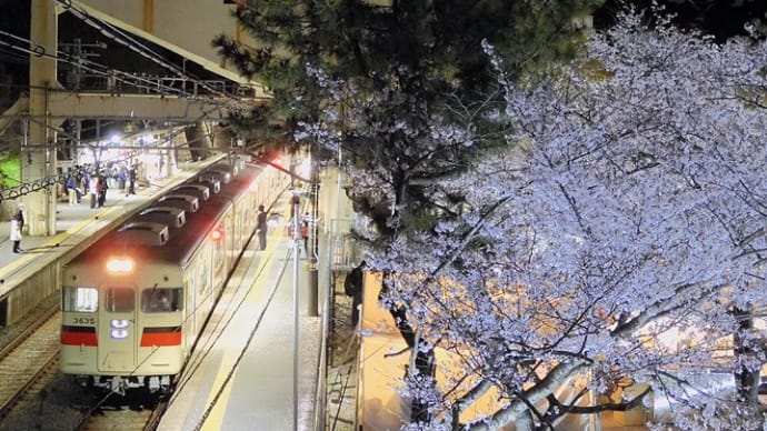 ４年ぶりの開催！　山陽電車×須磨浦公園の夜桜