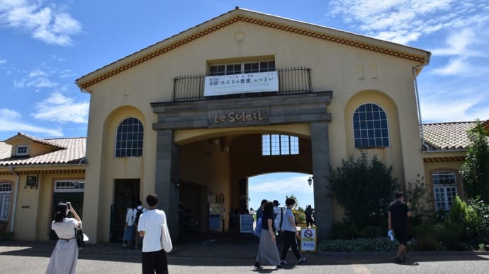 ひまわり狩り 神奈川県横須賀市 長井海の手公園 ソレイユの丘(1)今年も来ました