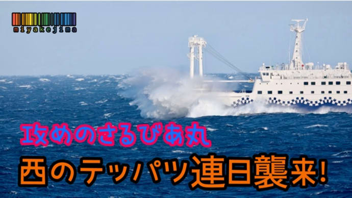 西のテッパツ始めました!