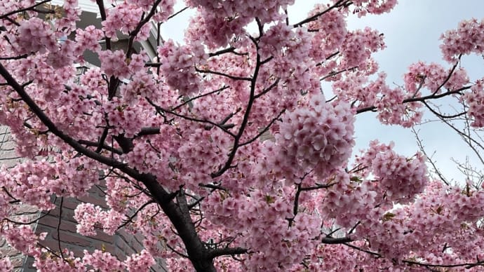 3月10日主日礼拝