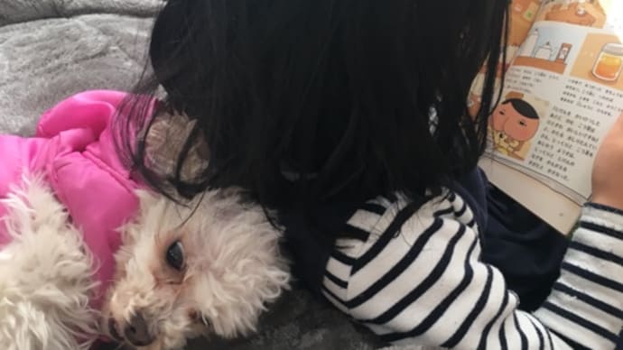 犬の写真が撮れない