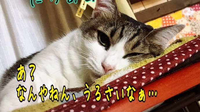 顔と体は別カテゴリー☆