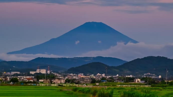 05/Aug 朝焼けと富士山とヤマユリとジャコウアゲハと野鳥たち