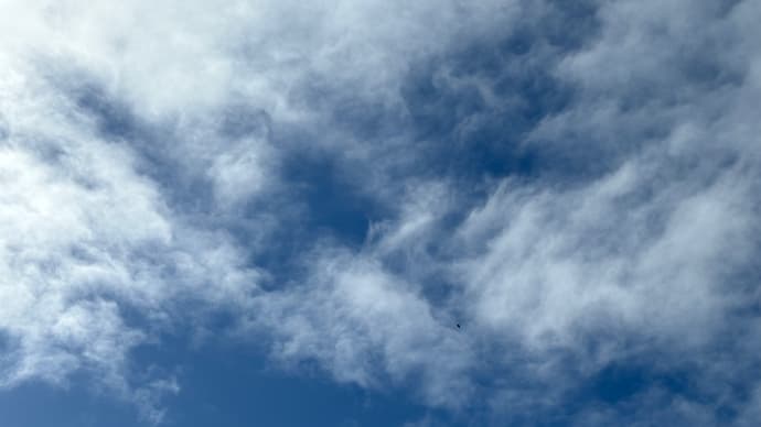 久しぶりの青空