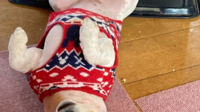 確定申告で探し物❗️ 税金のお話。