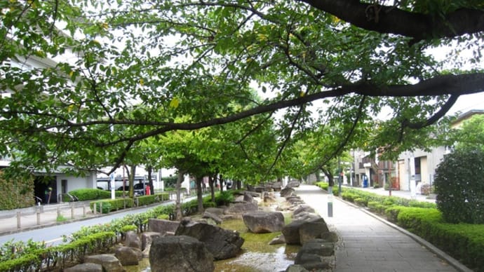 東京公園巡り 曳舟川親水公園