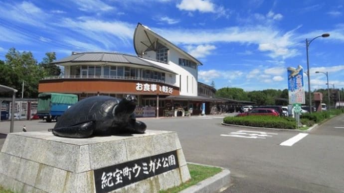 大好き! ウミガメ公園(2018年)