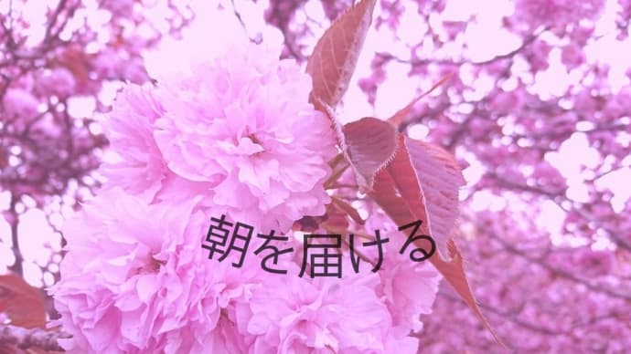 朝を届ける 2023.05.31