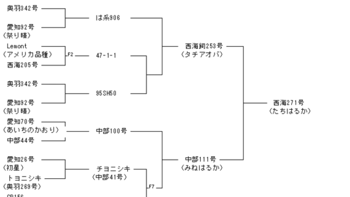 < お米 > お米の品種・銘柄 たちはるか