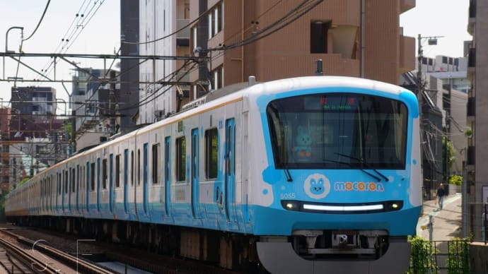 2024年6月8日 小田急 南新宿 5055F もころん号