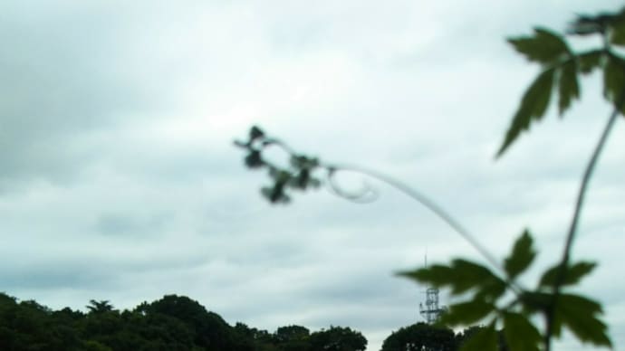 長月始めの空に