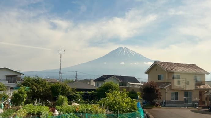 ばぁば参上