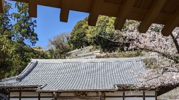 改葬〜お墓の引っ越し〜
