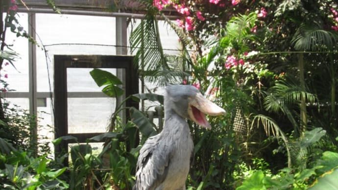 楽しい「動物王国」続きです