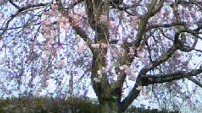 ワクチン報道の「潮目」の変化
