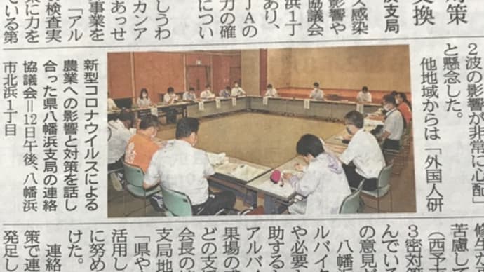 2020/08/13 みかん収穫にむけて お手伝いプロジェクトも始動!