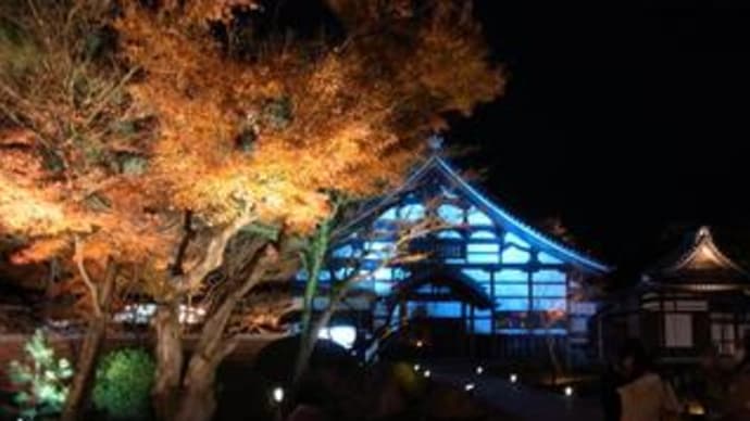 京都・高台寺の紅葉ライトアップ  2012.12.9