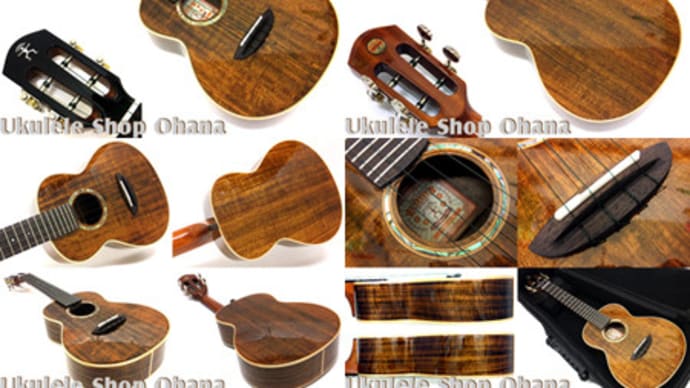再入荷!!!a Nue Nue日本限定モデル♪aNN-AAA2 コンサート Taiwanアカシア単板モデル♪