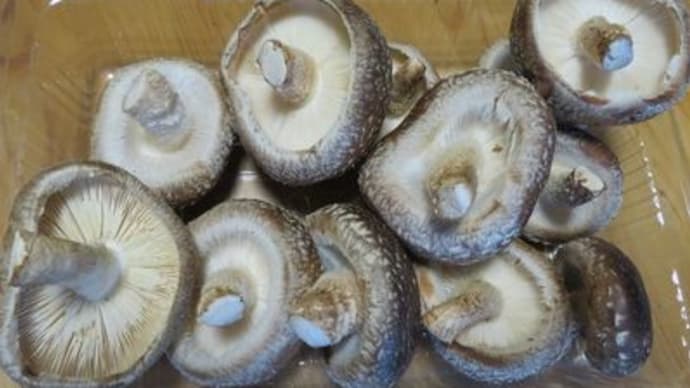 頂き物で